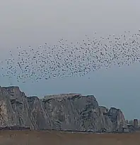 Van Kalesi semalarında sığırcık dansı