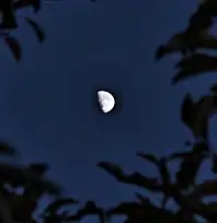 Yarım ay manzarası hayran bıraktı