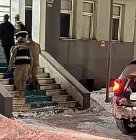 Yavru köpeğe eziyet eden şahıs tutuklandı