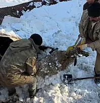 Yüksekova'da kar yükü çatıyı yıktı