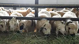 6 köy karantinaya alındı