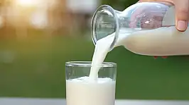 Ticaret Bakanlığı, haksız fiyatlandırma yapan süt şirketlerine