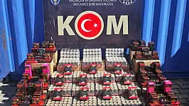 Van'da gümrük kaçakçılığı operasyonu