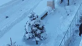 Van Erciş'te kar yağışı