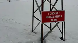 Yüksekova'da eşekte kuduz tespit edildi