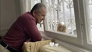 Aç kalan sincaplar pencerelere misafir oluyor