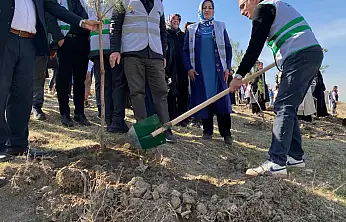 AK Parti Van, fidanları toprakla buluşturdu