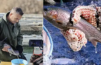 Alabalık üretiminde kaliteyi artırmaya yönelik saha çalışması