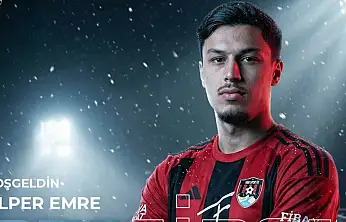 Alper Emre Demirol, Vanspor'da