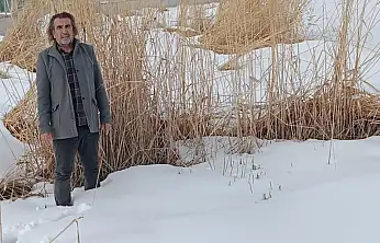 Aslan'dan sulak alanlar için hayati uyarı