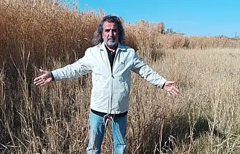 Aslan: Sulak alanlar tabiatın rahimleridir