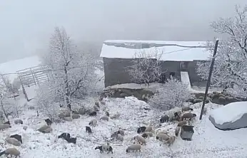 Bahçesaray'da kar yağışı