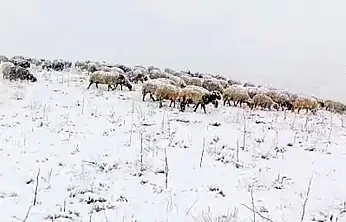 Başkale beyaza büründü