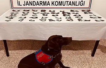 Başkale'de 171 gram bonzai ele geçirildi