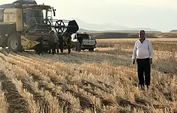 Başkale'de buğday hasadı başladı