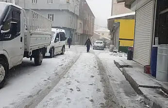 Başkale'de kar yağışı başladı