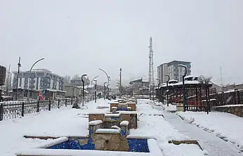 Başkale'de kış etkisini gösteriyor