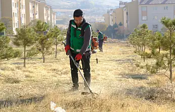 Bostaniçi Mahallesi'nde yeşil alan temizliği ve budama çalışması