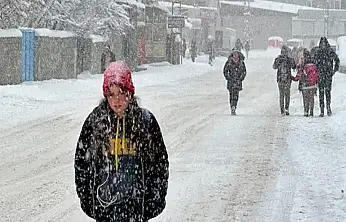 Çatak'ta eğitime kar engeli