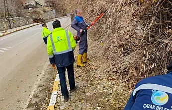 Çatak'ta kaldırımları kapatan çalılar temizlendi