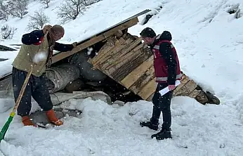 Çatak'ta kar yağışı sonrası tarımsal hasar kayıt altına alındı