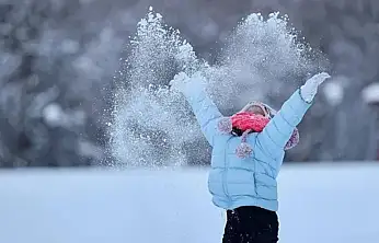 Çatak ve Bahçesaray'da eğitime 1 gün ara verildi