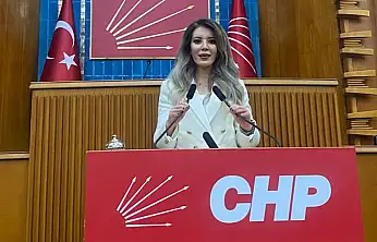 CHP Van İl Kadın Kolları Başkanı Aslan: Medeni Kanun eşitliğin teminatıdır