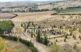 Doğu Türkistan ve Filistin için fidan diktiler