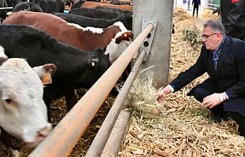 Düve Üretim Merkezi hayvancılığa büyük katkı sağlayacak