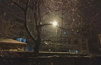 Erciş'te kar yağışı