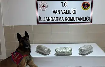 Gevaş'ta esrar ele geçirildi