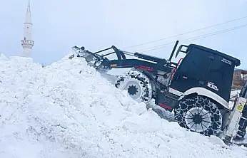 Gürpınar'da karla mücadele aralıksız sürüyor
