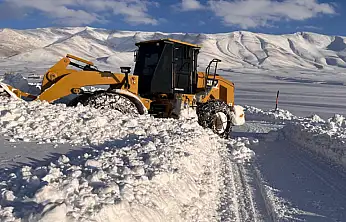 Gürpınar'da karla mücadele çalışmaları sürüyor