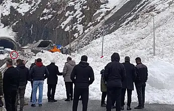 Hakkari-Van kara yoluna çığ düştü