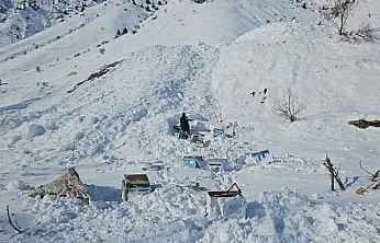 Hakkari-Van karayolunda 32 arı kovanı çığ altında kaldı