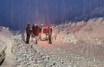Hakkari-Van yolunda iki çığ arasında kalan 5 araç kurtarıldı