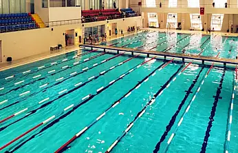 İpekyolu Belediyesi'nden yüzme kursu