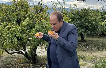 Kandaşoğlu Ege izlenimlerini paylaştı: Bölgeler arası farklılıklara dikkat çekti