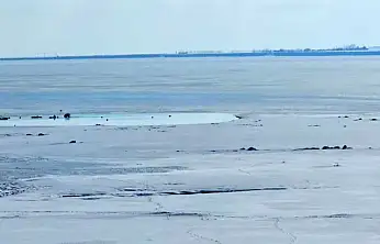 Kuş cenneti Arin Gölü kısmen dondu