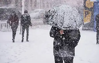 Muradiye'de kuvvetli yağış ve kar alarmı