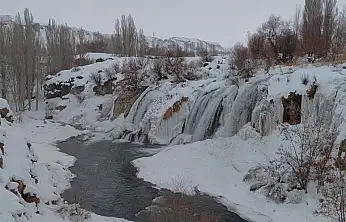 Muradiye Şelalesi eksi 12 derecede buz tuttu