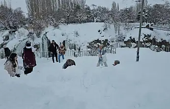 Muradiye Şelalesi'ne ziyaretçi akını