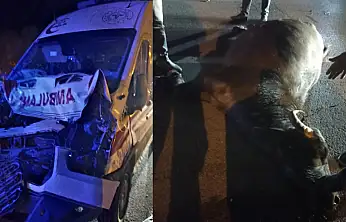 Muş'tan Van'a hasta taşıyan ambulans mandaya çarptı