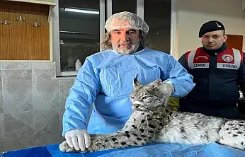 Prof. Dr. Aslan: İnsan-yaban hayvanı teması biyogüvenlik açısından ciddi risk taşıyor