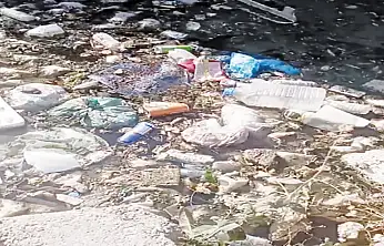 Şamran Kanalı'nda biriken çöpler sağlığı tehdit ediyor