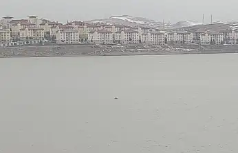 Sıhke Göleti'ne giren inek telef oldu