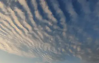 Sirrokümülüs bulutları Van semalarında görsel şölen sundu