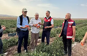 Tarım ve Orman İl Müdürü Dr. Şişman, Tuşba'da üreticileri ziyaret etti