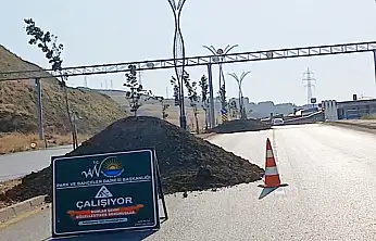 TOKİ yolunda yeşillendirme çalışmaları sürüyor