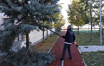 Tuşba Belediyesi ağaç budama çalışmalarına devam ediyor